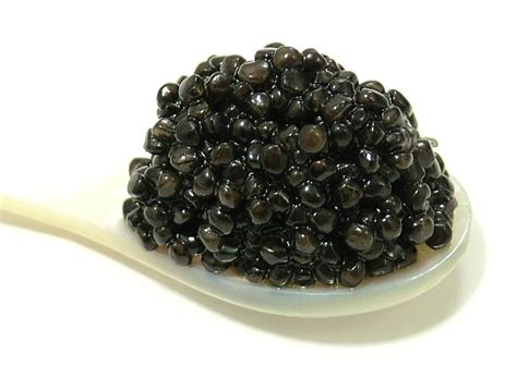 Beluga Caviar Delecasy ~ Indonesian Passions For Luxury