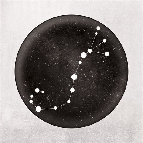 Scorpio Constellation Art Print - Zodiac Constellations - Touch of Modern