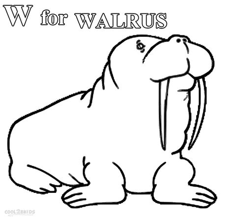 Printable Walrus Coloring Pages For Kids