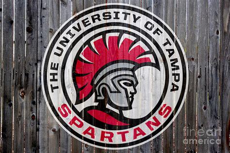 The University Of Tampa Spartans Digital Art by Steven Parker | Fine ...