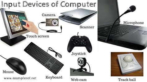 10 Examples of Input Devices of Computer | ExamplesOf.net