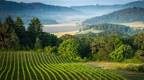 Oregon Wine Tasting Tours - Salem - Eugene - Roseburg