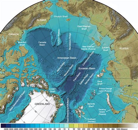 Arctic Ocean Seafloor Map: Depth, Shelves, Basins, Ridges