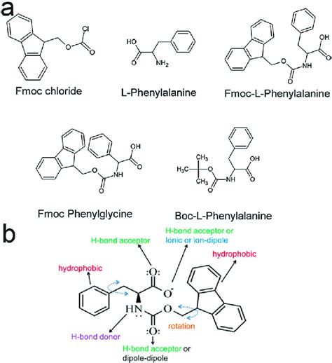 (a) The chemical formulae of Fmoc chloride, L-phenylalanine ...