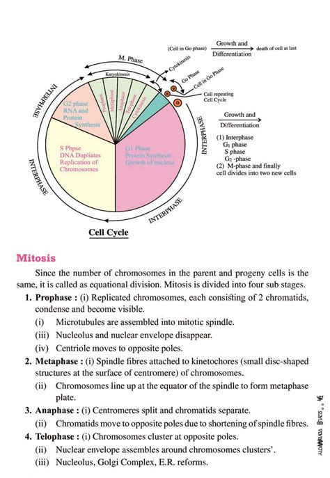 Ncert Class 11 Biology Diagrams