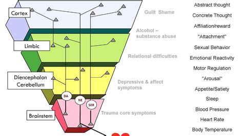 Brain Stem Injury Symptoms - Injury Choices