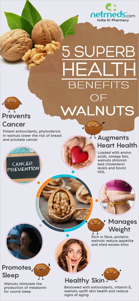 Walnuts: 5 Healthy Reasons To Add This Nutritious Nuts To Your Diet ...