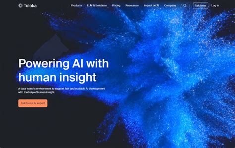 Toloka AI: Enhancing AI with Human Insights