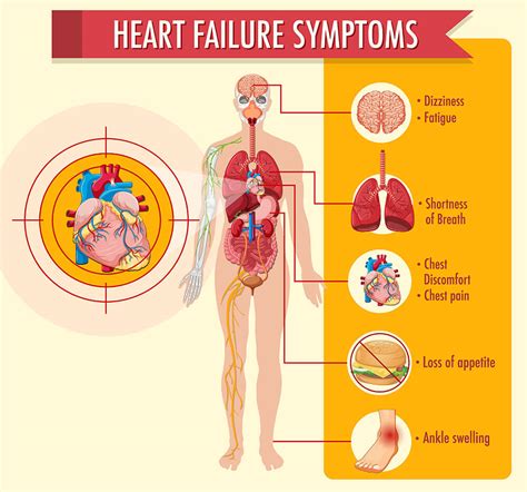 Congestive Heart Failure: Symptoms, Causes, and Types | Dr. Raghu