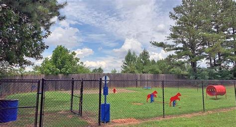 10 Tips for Planning Your Dog Park | Southeast Outdoors Solutions