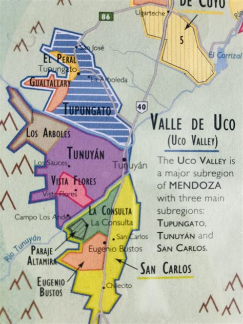 CUYO/ MENDOZA Wine - Demystifying "The Vine"