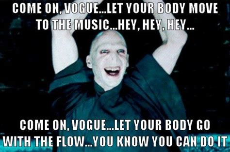 31 Funniest Voldemort Memes That Will Make You Laugh Uncontrollably ...