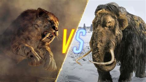 Saber-Toothed Tiger VS Woolly Mammoth - YouTube