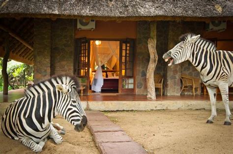 Mpumalanga Safari Lodges - Mpumalanga Safari Holidays and Tour