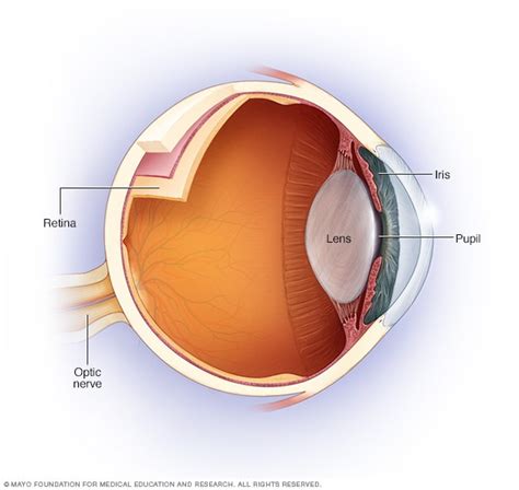 Optic neuritis - Symptoms and causes - Mayo Clinic