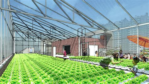 Rooftop Greenhouse by David Grider Architect - Architizer