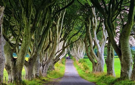 Best Private Game Of Thrones Tour From Belfast 2024