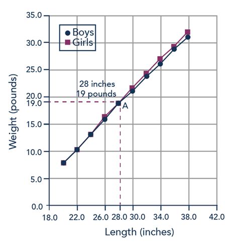 Best Graph to Use to Describe Growth