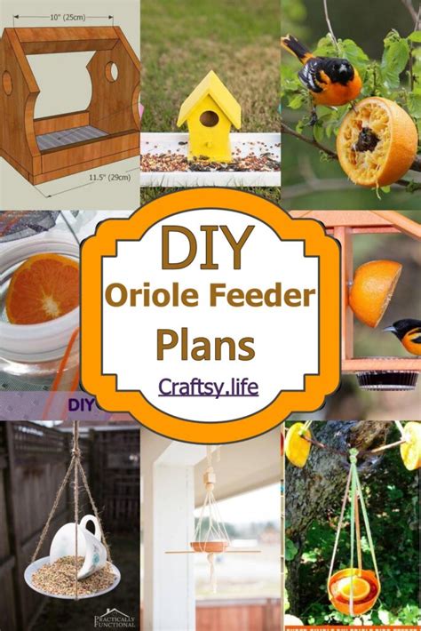 20 DIY Oriole Feeder Plans For Garden - Craftsy