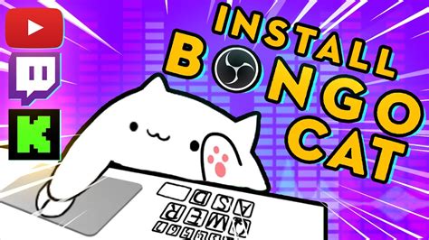 How to ACTUALLY Install Animated Bongo Cat OBS Plugin - 2023 - YouTube