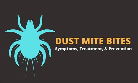 Dust Mite Bites: Symptoms, Treatment, Prevention - Resurchify