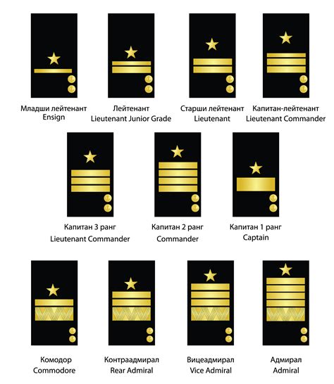 √ Army Commissioned Officer Rank Structure - Navy Docs