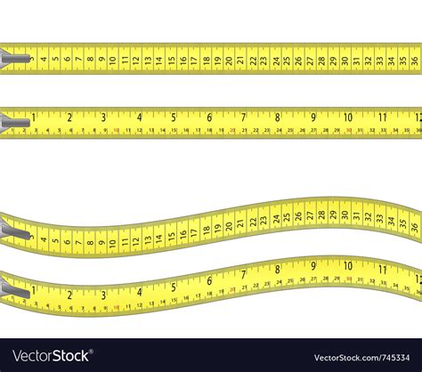 Tape measure Royalty Free Vector Image - VectorStock