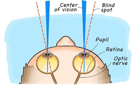 Blindspot Meaning