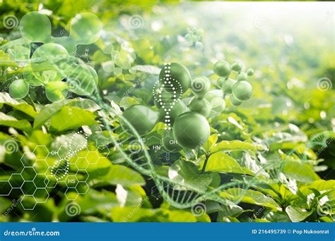 Biology Nature and Science. Plants with Biochemistry Structure on Green ...