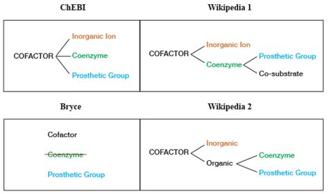 biochemistry - Definition of Cofactor, Coenzyme and Prosthetic Group ...