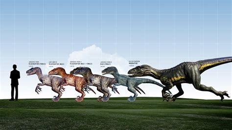 Jurassic Park 'Raptors' Size Comparison - YouTube