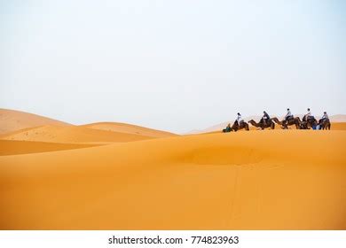 Camel Ride Sahara Desert Stock Photo 774823963 | Shutterstock