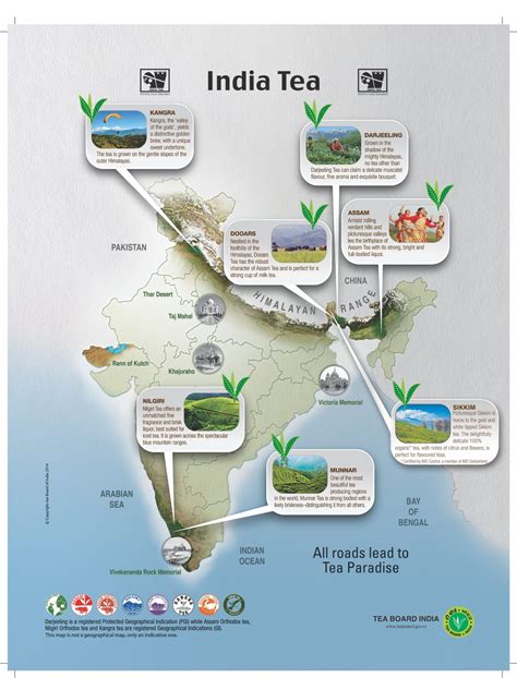 7 Indian Tea Regions You Should Know - Tea for Me Please