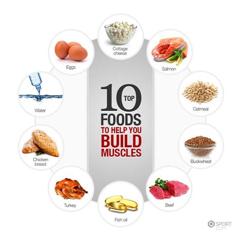 Top 10 Food Rich in Protein To Build Muscle- Infographic ...