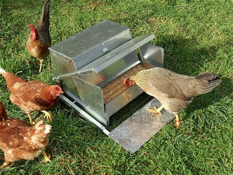 Waterproof & Rat Proof Treadle Chicken Feeders [3 Best Reviewed]