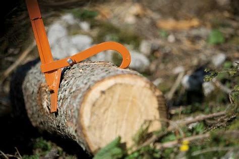 Make Moving Logs Easier With STIHL Forestry Tools | STIHL Blog