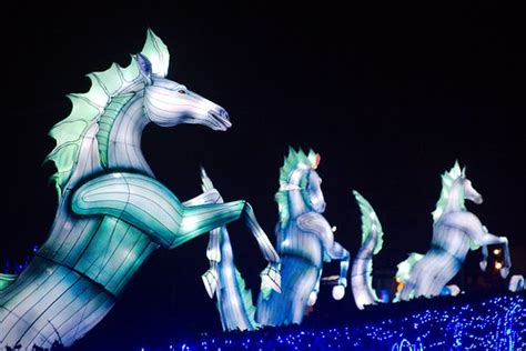 Giant Lanterns of China | Edinburgh Zoo, 2019 | Lesley Mitchell | Flickr