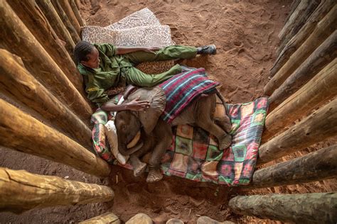 Photo Series Documents Unique Elephant Sanctuary in Kenya | PetaPixel