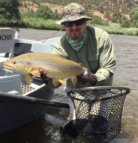 Guided Fly Fishing - Colorado River Float Trip