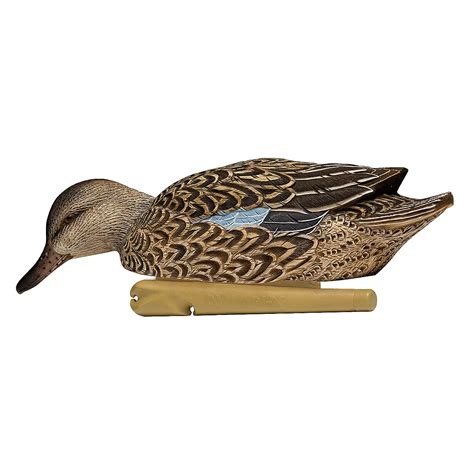 Avian-X Topflight Blue-Winged Teal Decoys Set | Academy