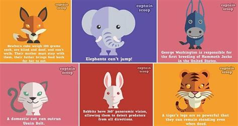 15 Interesting Animals Facts Paired With Cute Illustrations