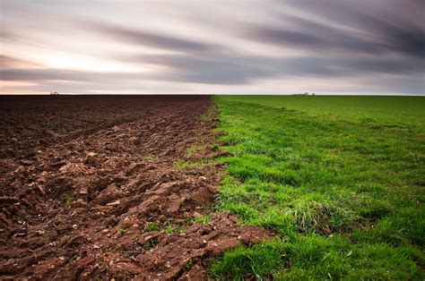 Online crop | green grass and brown sand wallpaper, landscape HD ...