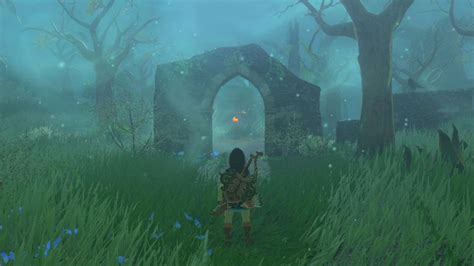 Breath Of The Wild Lost Woods Shrine Locations - Micro Biosrockbar