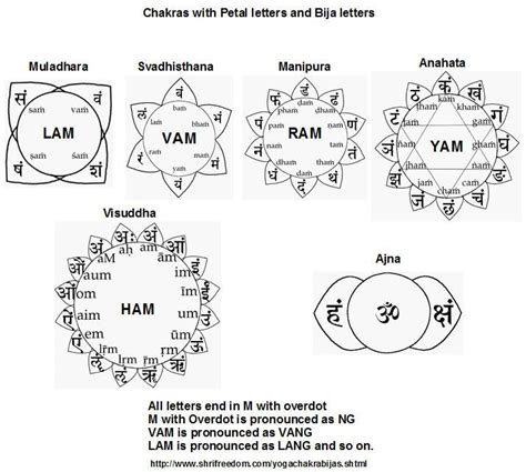 harish johari chakras - Google Search | Chakra meditation, Chakra ...