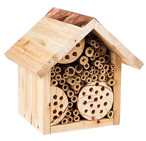 How to Make a Mason Bee Habitat - Perfect Life Cycle of a Bee ...