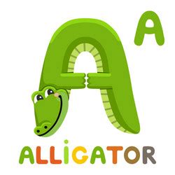 Alligator Flashcard Vector Images (over 100)