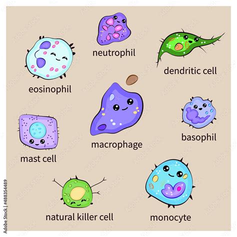 Immune System Cartoon