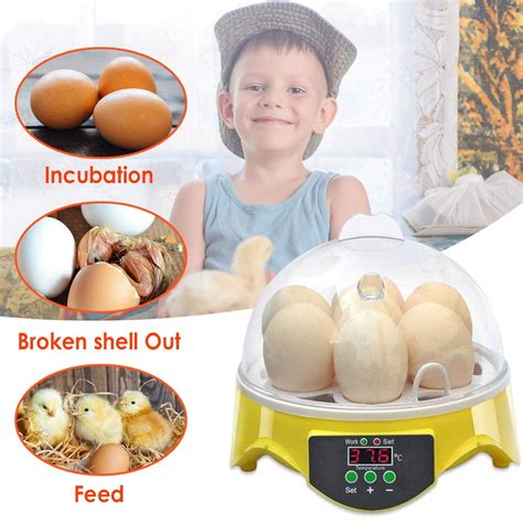 7 Eggs Mini Egg Incubator, Poultry Hatcher Machine with Temperature ...