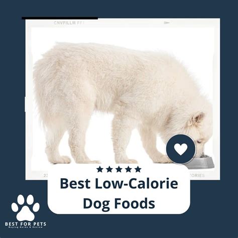 The 9 Best Low-calorie Dog Foods of 2023