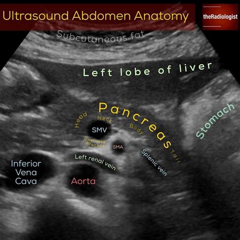 Read on to learn more about ultrasound!⁣ ⁣ ULTRASOUND ABDOMEN⁣ 👨🏽‍💻With ...